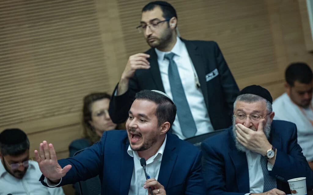 MK Dan Illouz speaks at a Knesset House committee meeting